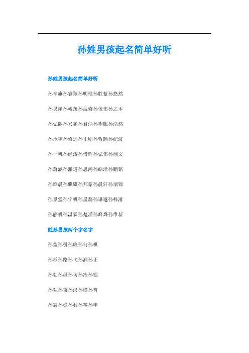 孙姓男孩起名简单好听