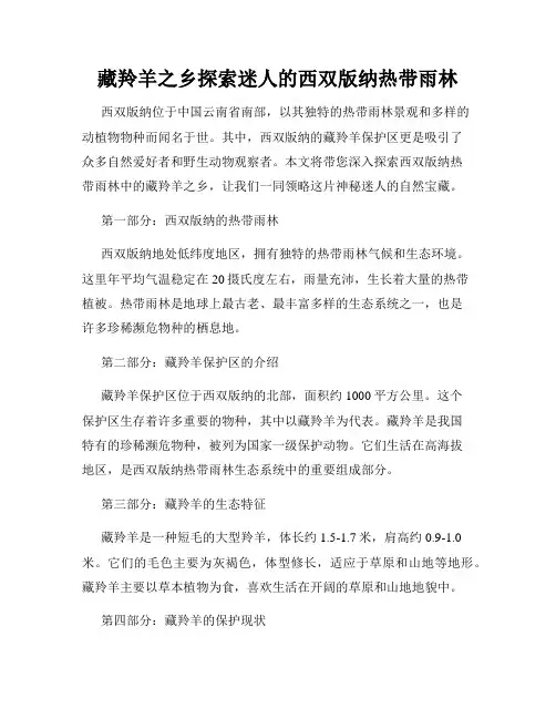 藏羚羊之乡探索迷人的西双版纳热带雨林