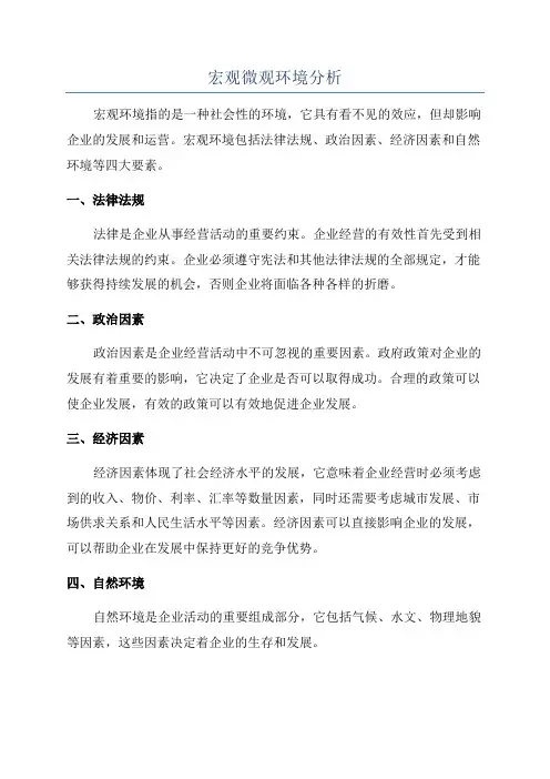 宏观微观环境分析