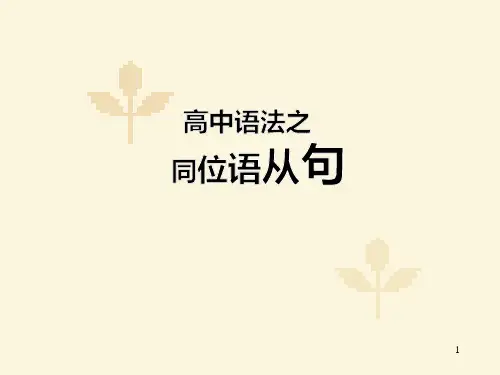 经典：高中同位语从句课件
