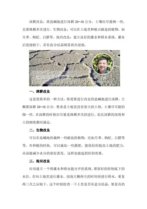 盐碱地改良方法