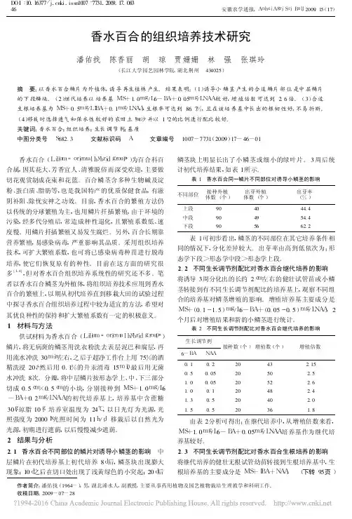 香水百合的组织培养技术研究_潘佑找