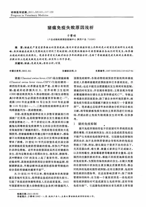 猪瘟免疫失败原因浅析