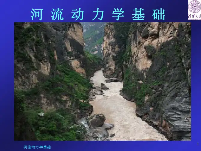泥沙起动理论1