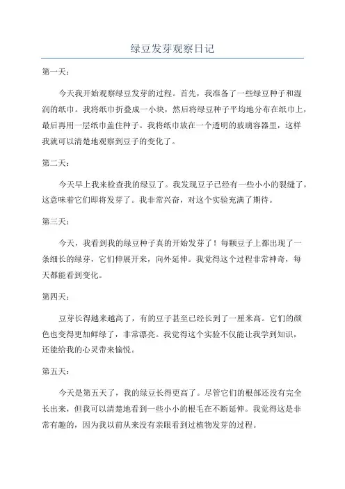 绿豆发芽观察日记