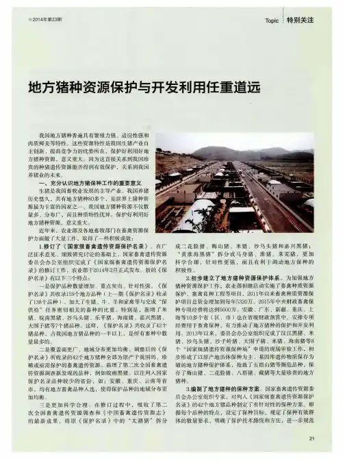 地方猪种资源保护与开发利用任重道远