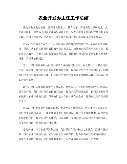 农业开发办主任工作总结