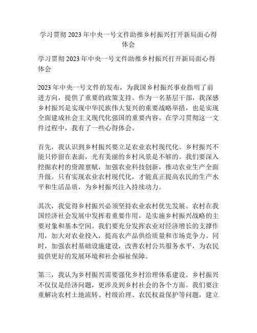 学习贯彻2023年中央一号文件助推乡村振兴打开新局面心得体会