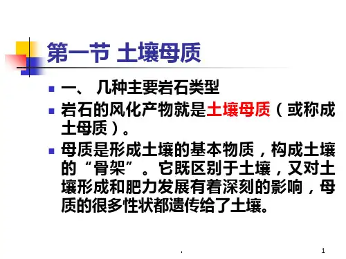 第一章  土壤母质与矿物质PPT课件