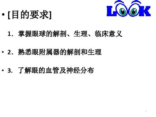 眼的组织解剖与生理PPT课件