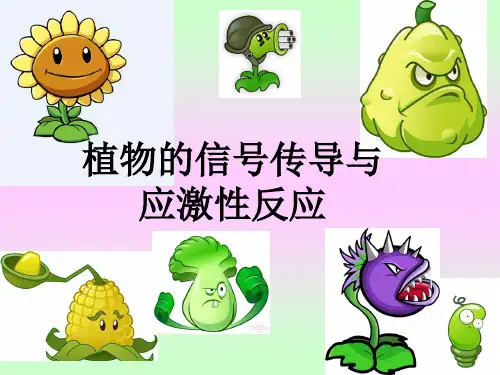 生物学：植物信号转导及应激性反应