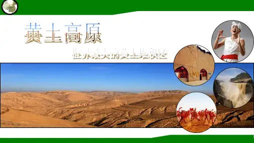 八年级地理下册6.3世界最大的黄土堆积区---黄土高原 (共37张PPT)