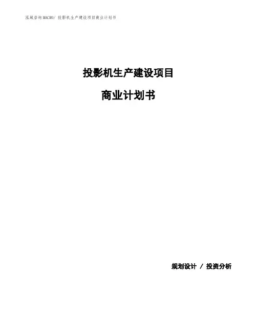 投影机生产建设项目商业计划书