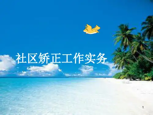 社区矫正ppt课件