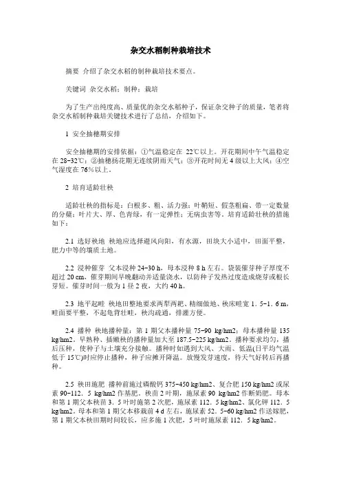 杂交水稻制种栽培技术
