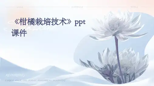 《柑橘栽培技术》课件
