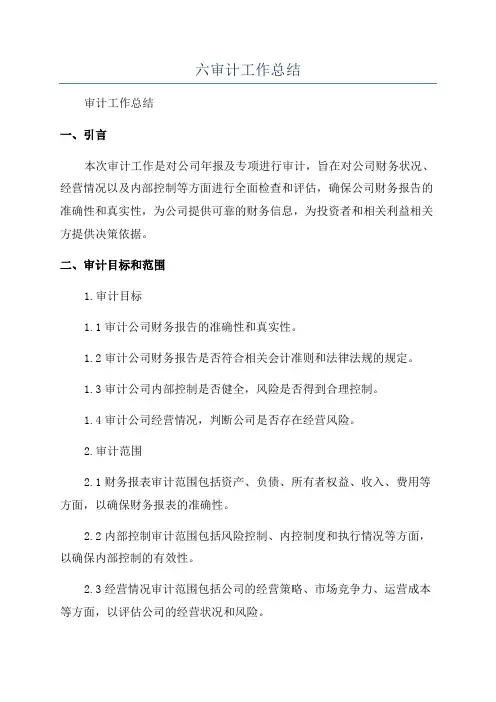 六审计工作总结