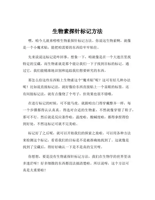 生物素探针标记方法