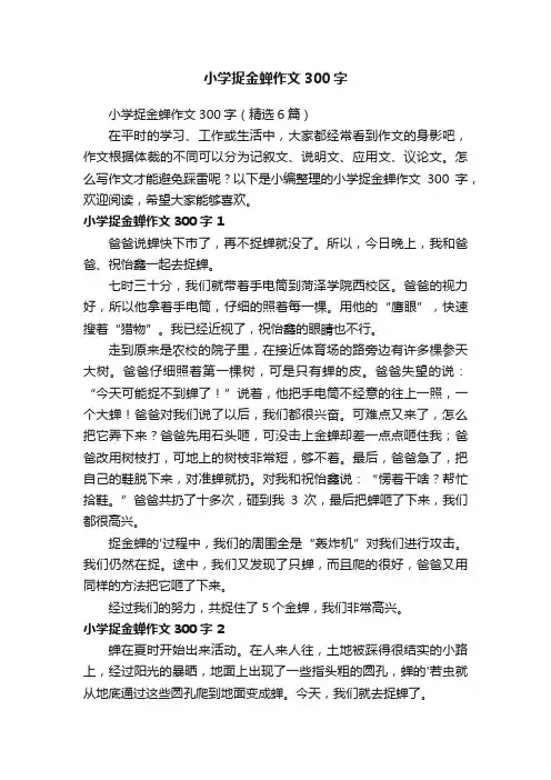 小学捉金蝉作文300字（精选6篇）