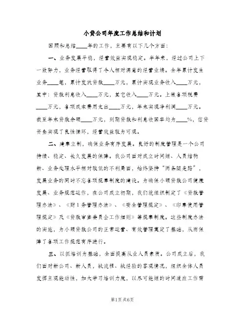 小贷公司年度工作总结和计划（2篇）