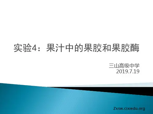 实验4：果汁中的果胶和果胶酶24938-PPT课件