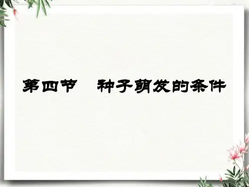 第四节种子的萌发课件(济南版)