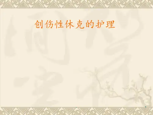 创伤性休克的护理PPT课件