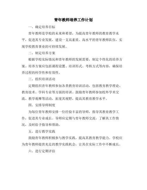 青年教师培养工作计划