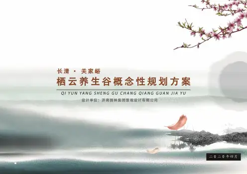 济南康养文旅栖云谷策划方案