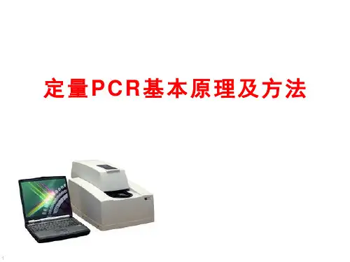 定量PCR基本原理及方法