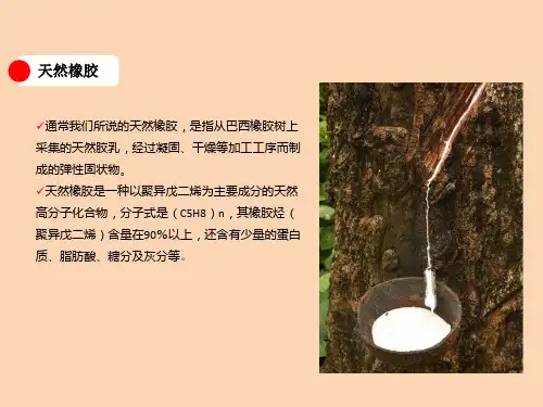 子午线轮胎生产所需的天然胶品质要求