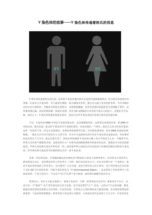 Y染色体的故事