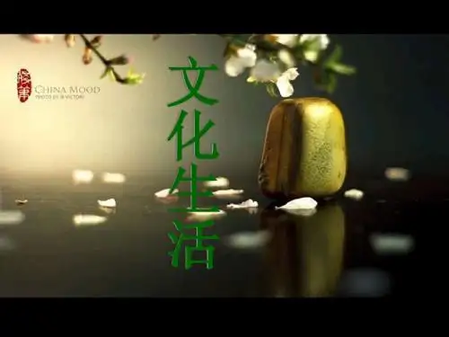 文化生活第一课复习