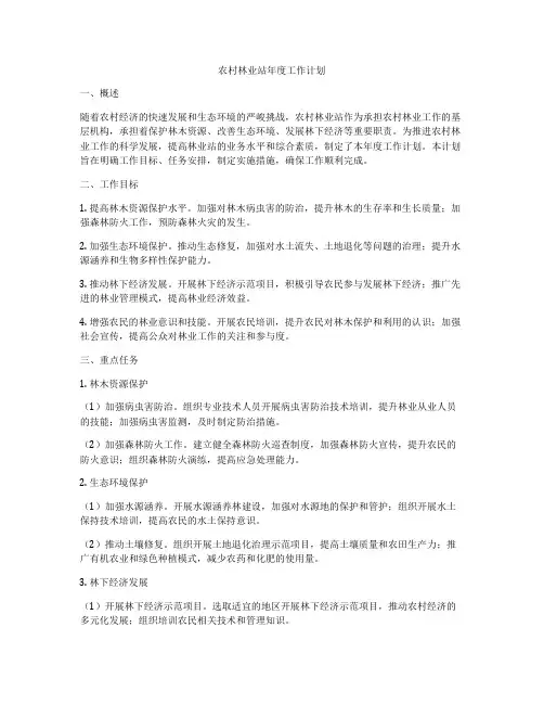 农村林业站年度工作计划