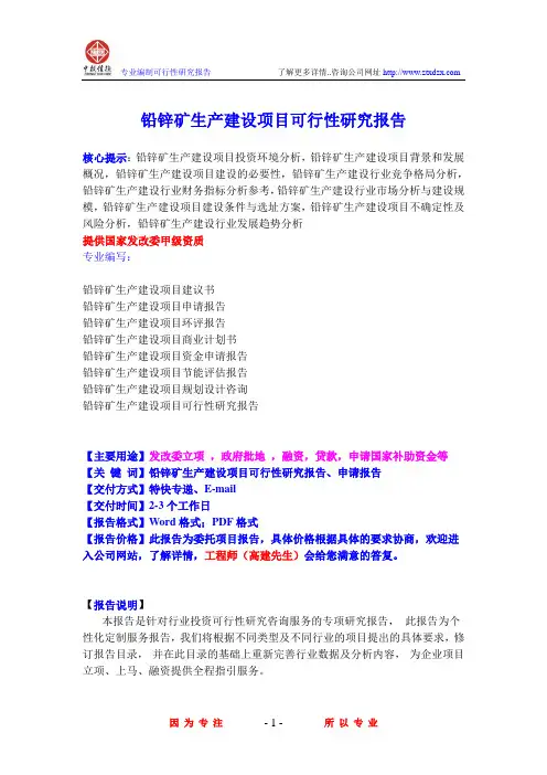 铅锌矿生产建设项目可行性研究报告