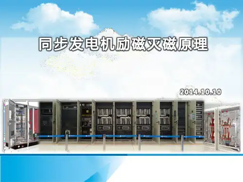 4同步发电机励磁灭磁原理