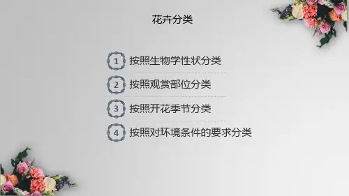 花卉生产技术：花卉分类