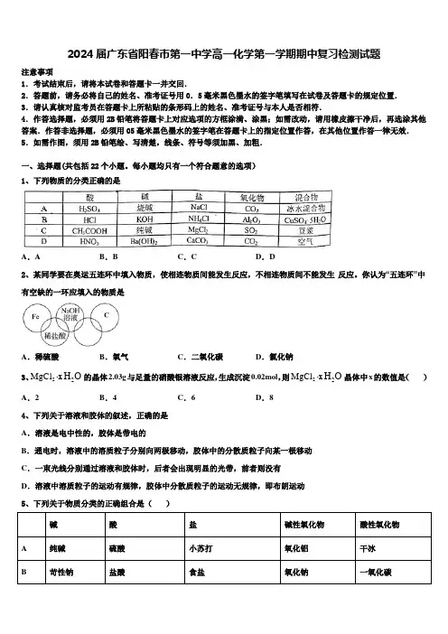 2024届广东省阳春市第一中学高一化学第一学期期中复习检测试题含解析