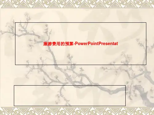 旅游费用的预算-PowerPointPresentat