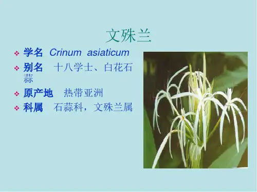 园林树木与花卉第14章 温室花卉栽培2