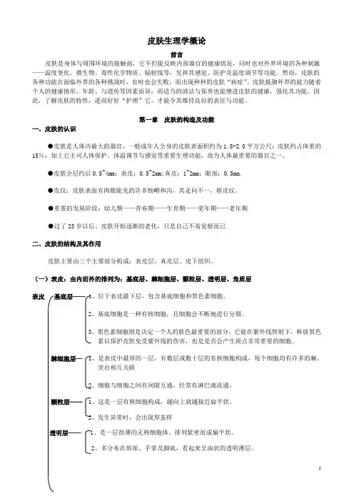 皮肤概论