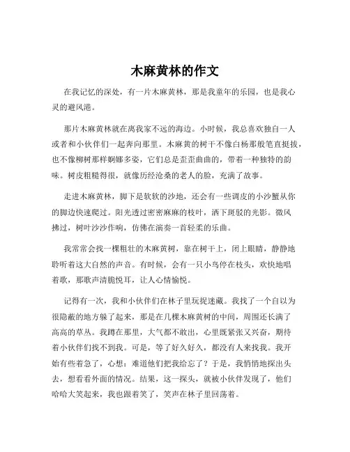 木麻黄林的作文
