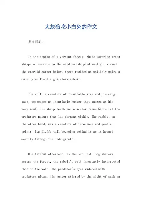 大灰狼吃小白兔的作文