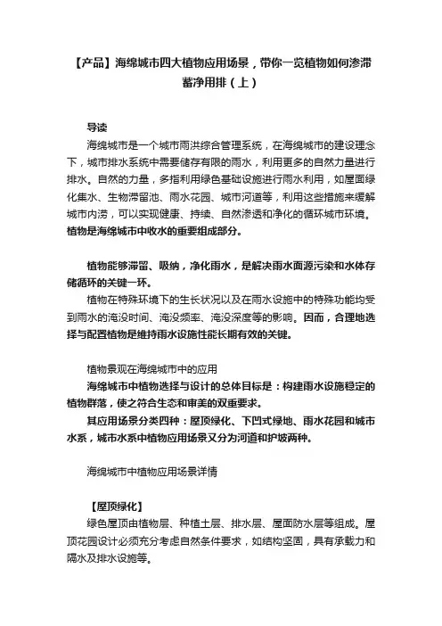 【产品】海绵城市四大植物应用场景，带你一览植物如何渗滞蓄净用排（上）