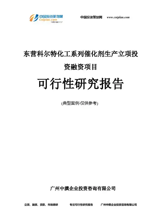 东营科尔特化工系列催化剂生产融资投资立项项目可行性研究报告(中撰咨询)