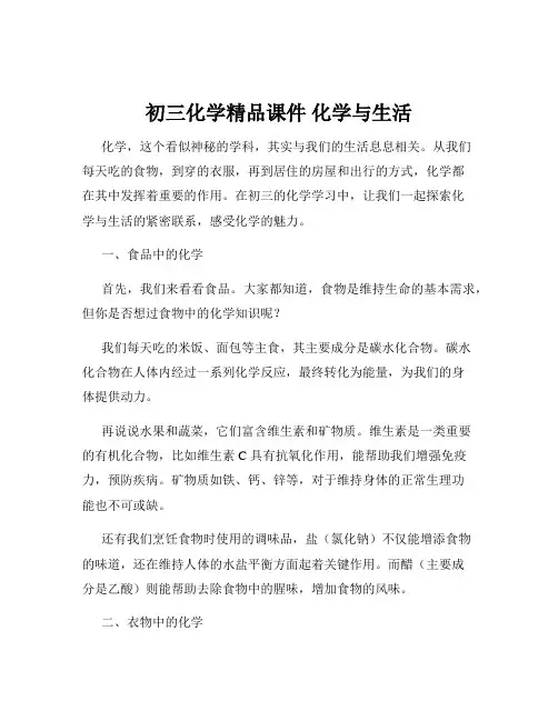 初三化学精品课件 化学与生活