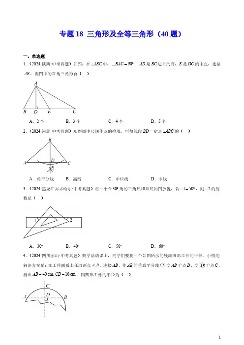 专题18 三角形及全等三角形(40题)(原卷版)--2024年中考数学真题分类汇编