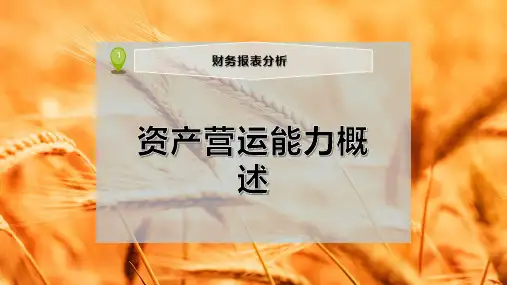 资产营运能力概述