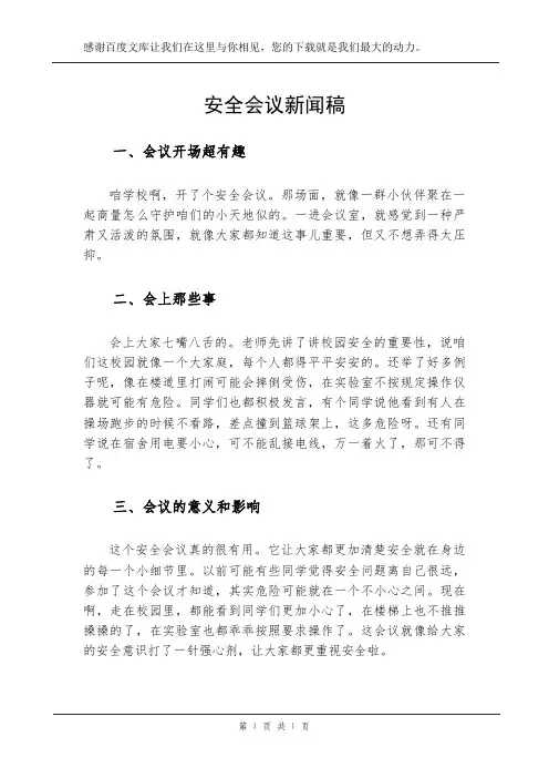 安全会议新闻稿