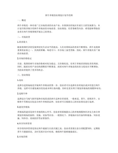 肉牛养殖创业规划计划书范例